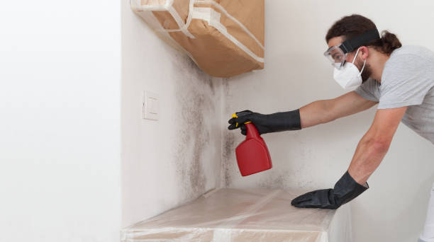 Professional Mold Remediation technician working in Wayland, MI